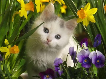 花の中のかわいい猫の写真 Oil Paintings